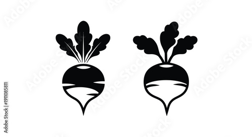 Two radish vegetables presented in a striking black and white silhouette