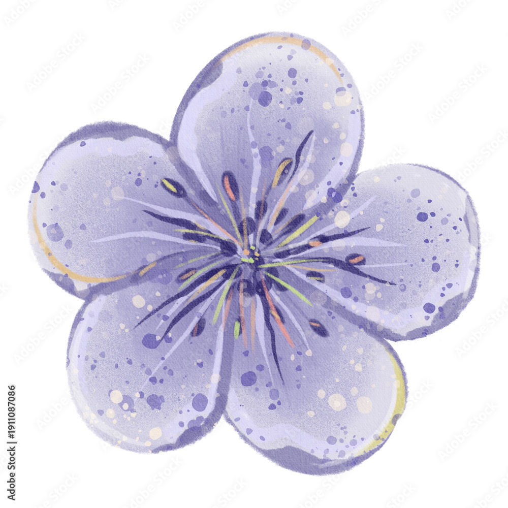 Fototapeta premium A purple flower with delicate petals in a soft watercolor style. Perfect for prints, stationery, and branding.