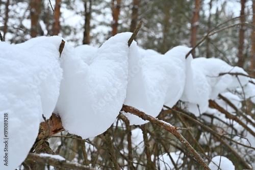 Bizarre snowdrifts on a tree.