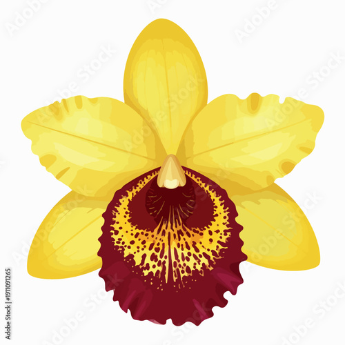 Yellow orchid flower isolated on white background, tropical botanical vector illustration. Detailed yellow orchid flower, red patterned lip. Floral design, wedding decor, spa branding, nature themes.
