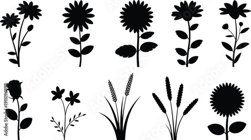 Black flower silhouette collection set, floral botanical vector icons, garden plants elements, rose daisy sunflower silhouettes, minimalist nature design kit, isolated.