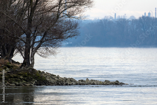 Soft light on the riverbank with trees and calm water near the city in winter season
