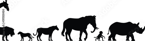 Set of vector black silhouettes of African animals like lion elephant rhino zebra and monkey walking in a row