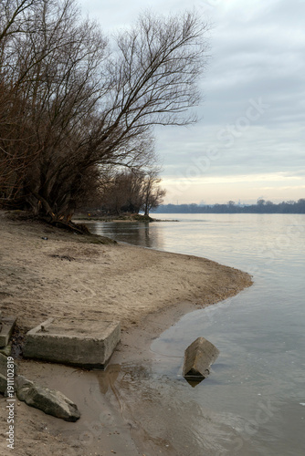 Calm riverbank scene showing sandy shore and bare trees during cloudy day near waterline