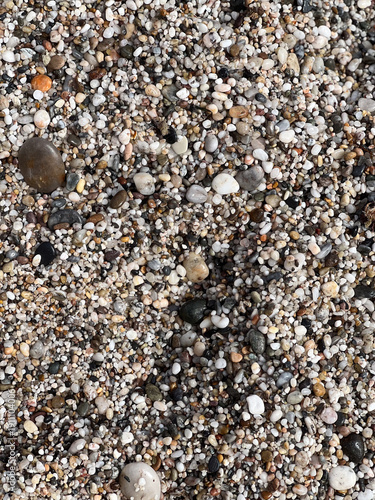 Multicolored Natural Pebble Texture – Coastal Beach Background