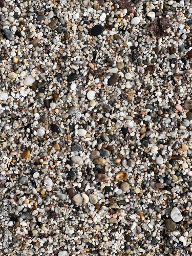 Multicolored Natural Pebble Texture – Coastal Beach Background