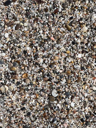 Multicolored Natural Pebble Texture – Coastal Beach Background