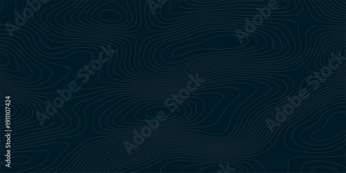 Abstract topographic contour lines on dark teal background with thin white and light gray curves forming organic terrain elevation map texture in seamless 2D vector style.