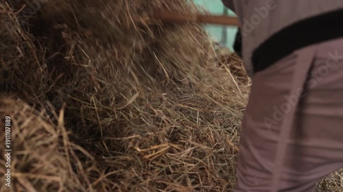 Livestock feed, Hay pile, Organic composition. Natural browns and yellows hay highlight its organic makeup and its crucial role as livestock feed in farming.