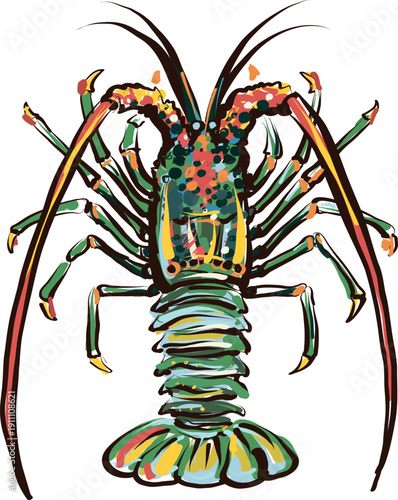 Expressive Spiny Lobster Illustration Hand Drawn Seafood Vector