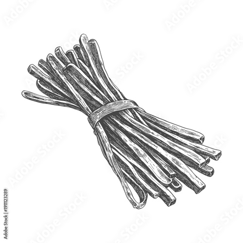 A monochrome illustration depicting a bundle of fresh green chives
