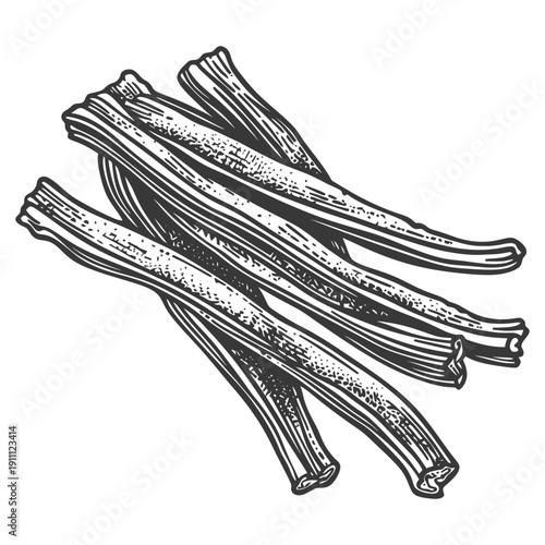 A monochrome sketch illustration depicts several vanilla bean pods