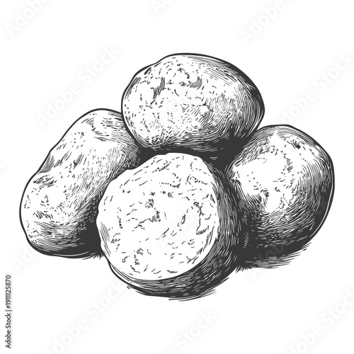 Four potatoes shown in a detailed black and white illustration