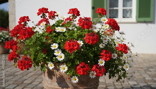 Container Garden Bursting with Red Geraniums and White Daisies in Full Bloom