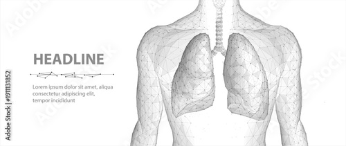 Human lungs anatomy illustration. Medical respiratory system concept, AI healthcare diagnostic technology, modern anatomy research, smart pulmonary health innovation