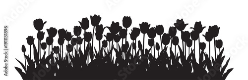 Black silhouette of a dense tulip field with many flowers and leaves creates a beautiful graphic floral border for spring or nature-themed designs in a minimalist monochrome style