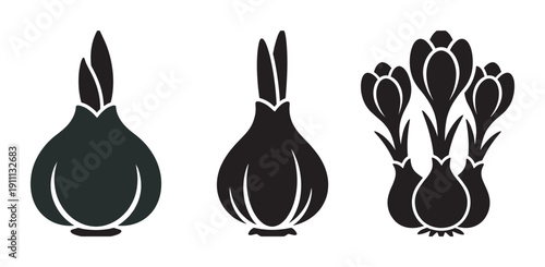 Three black flower bulb icons showing the stages of growth from a dormant corm with a small sprout to blooming crocus flowers, presented as a minimalist graphic illustration set