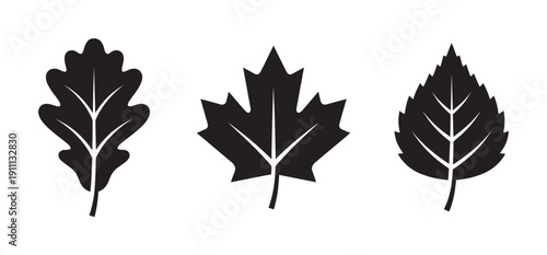 Three black leaf icons in a set show different tree species like oak, maple, and birch in a simple, minimalist graphic style for nature and ecology concepts