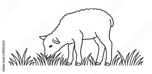Cute little lamb with fluffy wool, drawn in a simple black outline, is shown grazing on grass in a peaceful and charming minimalist illustration
