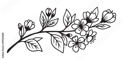 Blooming cherry blossom branch illustration in a black and white line art style, featuring delicate flowers, buds, and leaves on a single elegant stem for a minimalist design