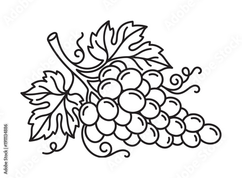 Grape bunch with leaves and tendrils drawn in a simple black and white line art style, featuring a cluster of round berries in an elegant, minimalist vector illustration