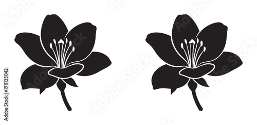 Two black silhouette flower illustrations with five delicate petals and detailed stamens, presenting a clean, minimalist, and elegant botanical graphic design element