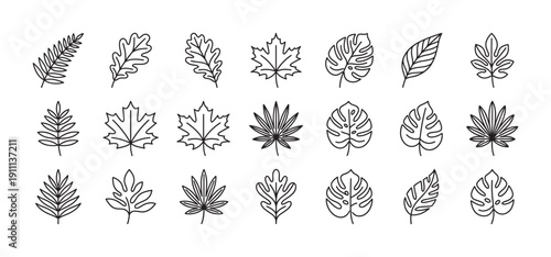 Collection of various leaf icons drawn in a minimalist black outline style, featuring different plant species like maple, oak, monstera, and fern for nature-themed designs