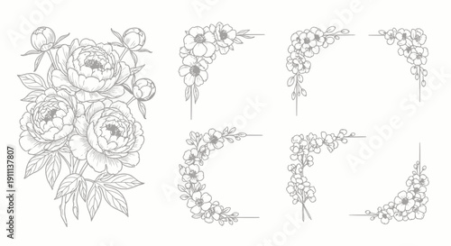 Elegant floral corner designs and a bouquet of peonies, black and white illustration for decorative use