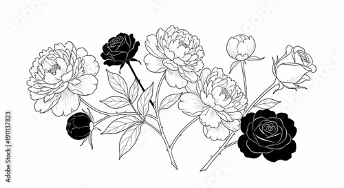Elegant black and white botanical illustration featuring intricate line art peonies and roses in a contrasting arrangement, capturing natural beauty and artistic grace for sophisticated design