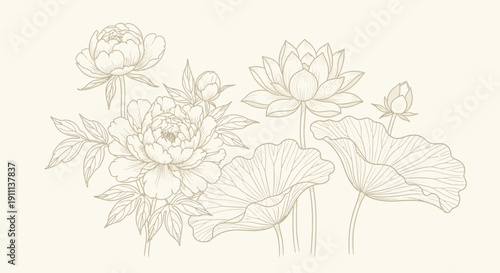 Graceful botanical line art depicting delicate peony and majestic lotus flowers with intricate leaves, an elegant illustration showcasing timeless natural beauty and serene floral composition