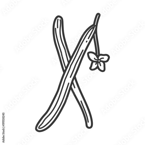 A linear sketch depicting vanilla beans with a flower attached