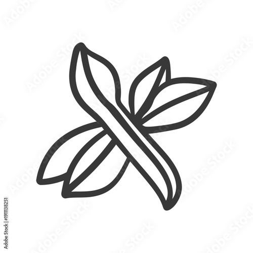 A simple outline illustration of vanilla bean pods and leaves