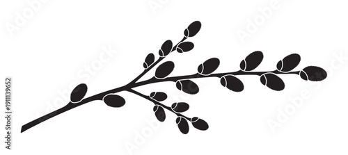 Black pussy willow branch silhouette with fluffy catkins is a simple and elegant graphic illustration representing spring, nature, and the Easter holiday season