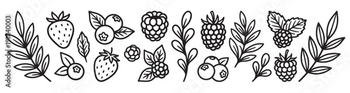 Hand-drawn doodle set of various garden berries and leaves, including strawberry, raspberry, and blueberry, illustrated in a simple black and white monochrome line art style