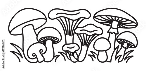 Group of assorted mushrooms and fungi in a simple black and white line drawing, a hand-drawn cartoon illustration with a clean, minimalist aesthetic for coloring