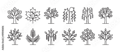 Collection of twelve different tree icons in a minimalist black line art style, a graphic set of various plant symbols including oak, maple leaf, and flowering trees