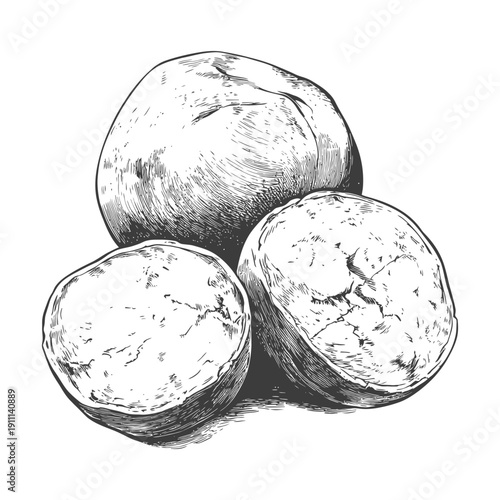Three potatoes illustrated in black and white artistic drawing style