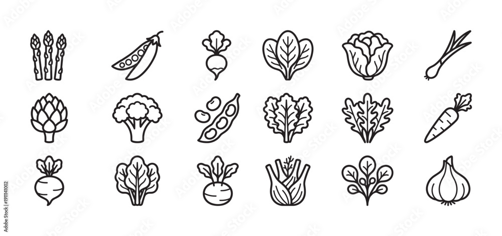 Fototapeta premium Collection of fresh vegetable line icons showing various healthy foods like carrots, broccoli, and lettuce in a minimalist black and white graphic illustration style for design elements