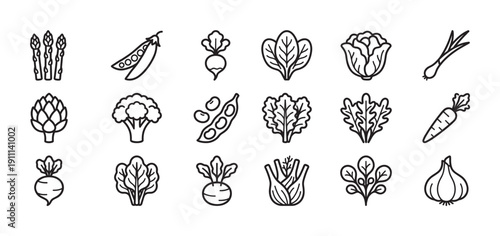 Collection of fresh vegetable line icons showing various healthy foods like carrots, broccoli, and lettuce in a minimalist black and white graphic illustration style for design elements