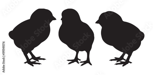 Three black silhouette illustrations of baby chicks standing together in a group, a simple graphic icon for Easter or spring themes representing new life and farming