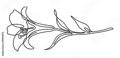 Single continuous black line drawing of an elegant lily flower on a stem with leaves, rendered in a minimalist and modern artistic style for a clean, sophisticated aesthetic