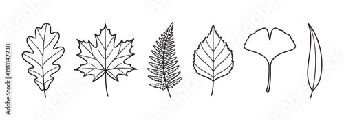 Six distinct outline leaves are presented in a horizontal row, showcasing various botanical shapes and natural forms with a simple, clean, and elegant hand-drawn vector style