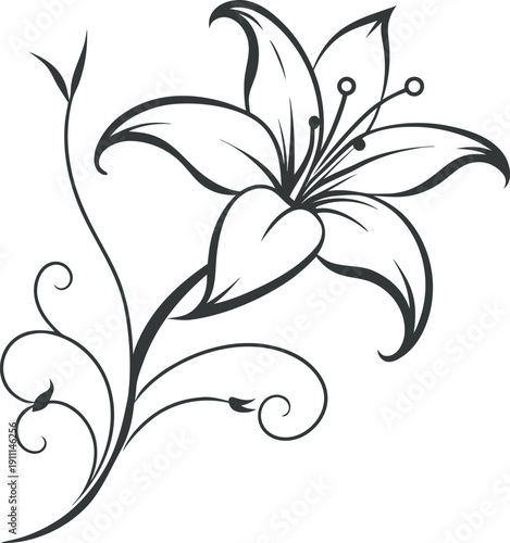 Elegant black and white lily flower illustration with delicate swirling stems and minimalist design elements