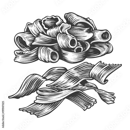 Detailed grayscale illustration showing two types of pasta shapes