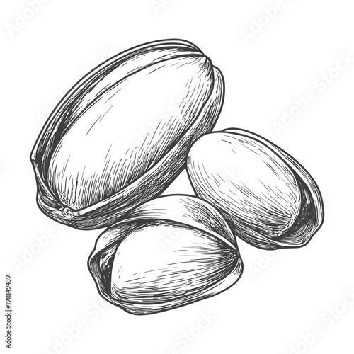 Drawn illustration shows a close up of some opened pistachios nuts