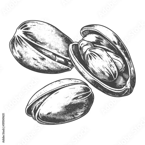 Close Up Illustration Of Three Pistachio Nuts Isolated On White