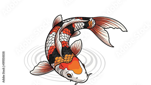Colorful koi fish illustration swimming in water with ripples