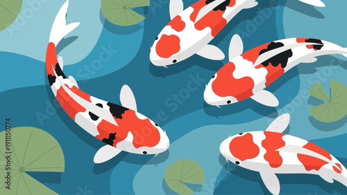 Colorful koi fish swimming in pond vector illustration