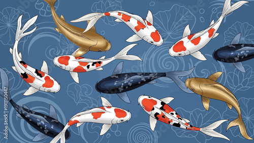 Colorful koi fish swimming in water with decorative blue background