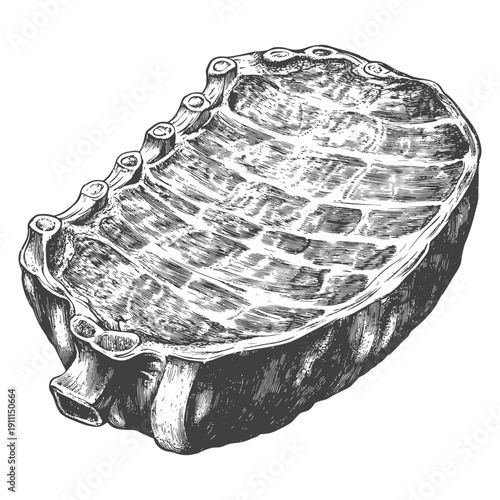 A detailed grayscale drawing shows ribs of meat with bone